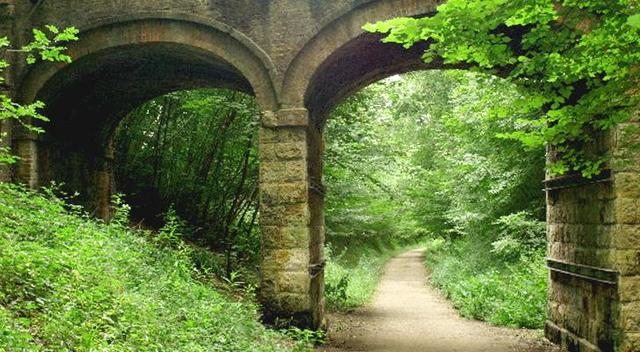 Cuckoo Trail
