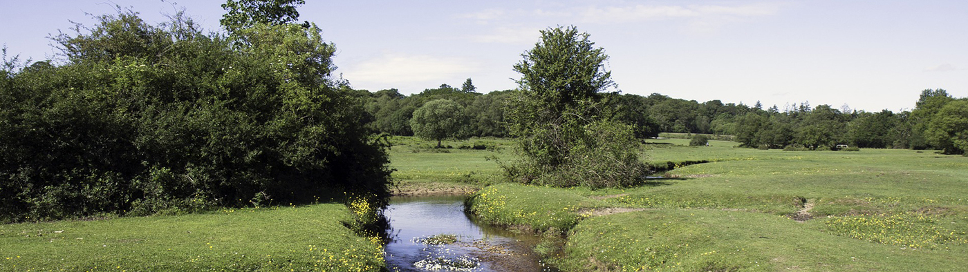 Your Hampshire adventure starts here.