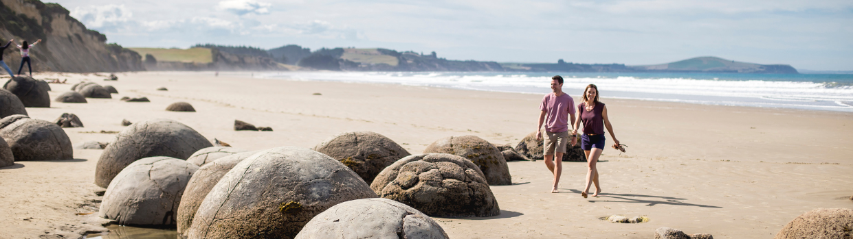 Your Palmerston North adventure starts here.