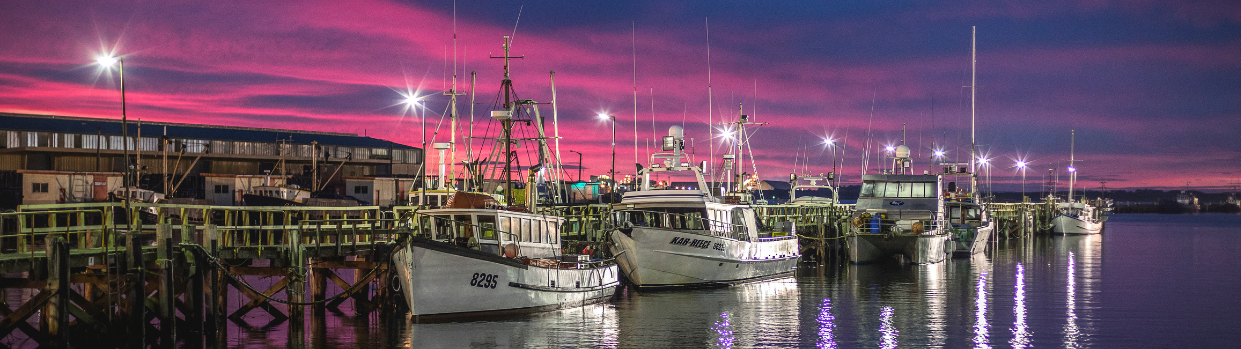 Your Invercargill adventure starts here.