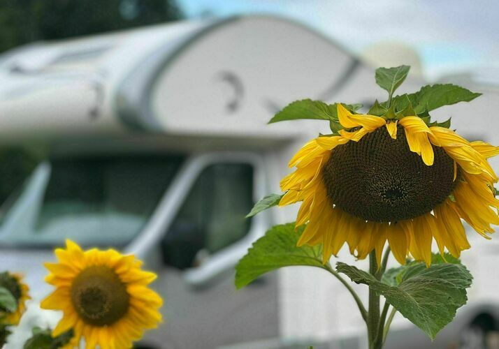 Bild eines Motorhome - Bild 0