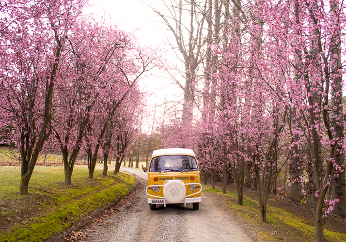 Image of a Campervan - Image 0