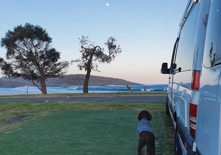 Image of a Motorhome - Image 1