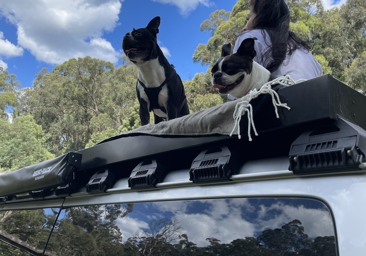 Image of a Campervan - Image 1
