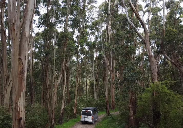 Image of a Campervan - Image 6