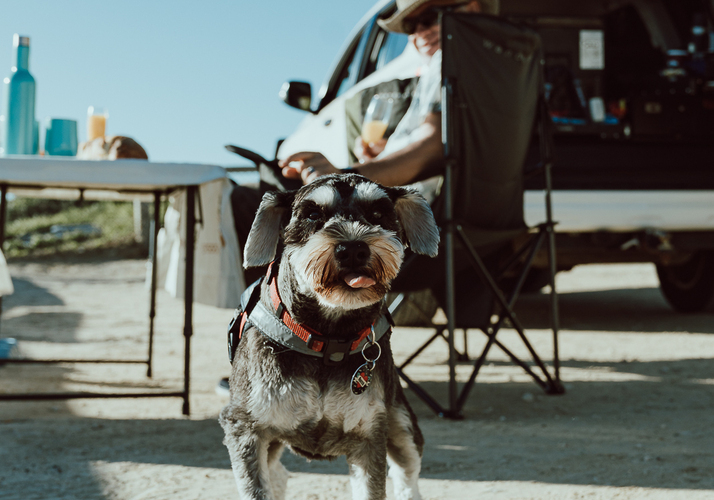 Image of a Campervan - Image 6