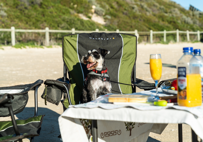 Image of a Campervan - Image 12