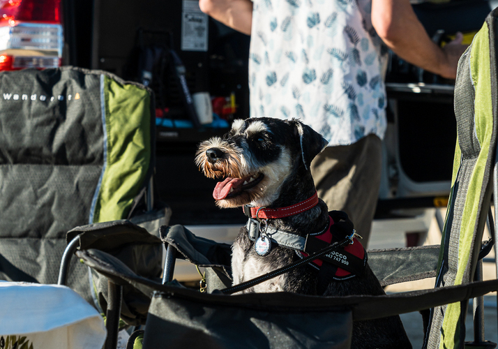 Image of a Campervan - Image 15