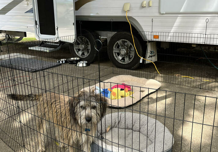 Image of a Caravan - Image 20