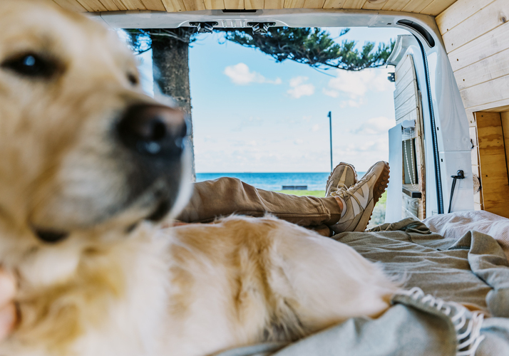 Image of a Campervan - Image 9