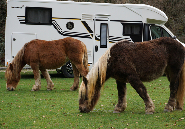 Imagen de un Motorhome - Imagen 14